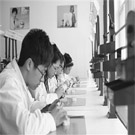 口腔修復(fù)工藝專業(yè)