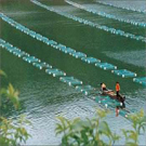 淡水養(yǎng)殖專業(yè)