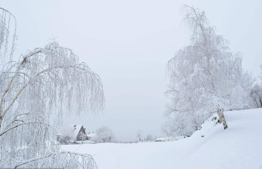 美文賞析：王靜娜優(yōu)秀詩歌合集