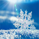 電腦藝術(shù)設(shè)計