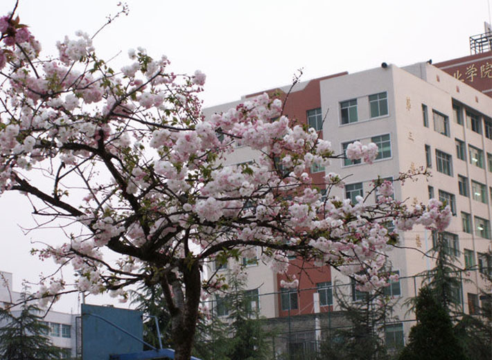 貴州工業(yè)職業(yè)技術(shù)學(xué)院校園一角