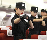 民航空中安全保衛(wèi)