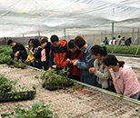 園藝技術(shù)專業(yè)