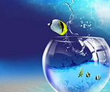 產(chǎn)品藝術(shù)設(shè)計(jì)專(zhuān)業(yè)（限招美術(shù)與設(shè)計(jì)類(lèi)）