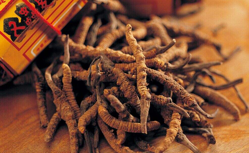 中醫(yī)學專業(yè)主要學什么