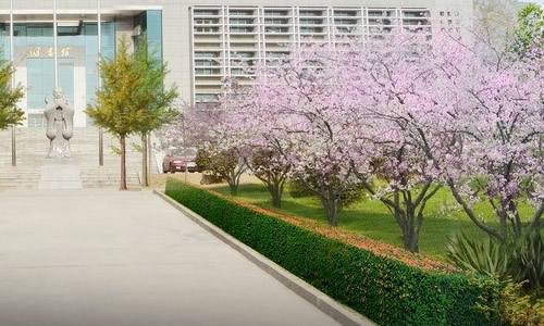 成都市旅游學(xué)校怎么樣