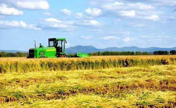 2019年作物生產(chǎn)技術(shù)專業(yè)就業(yè)方向與就業(yè)前景