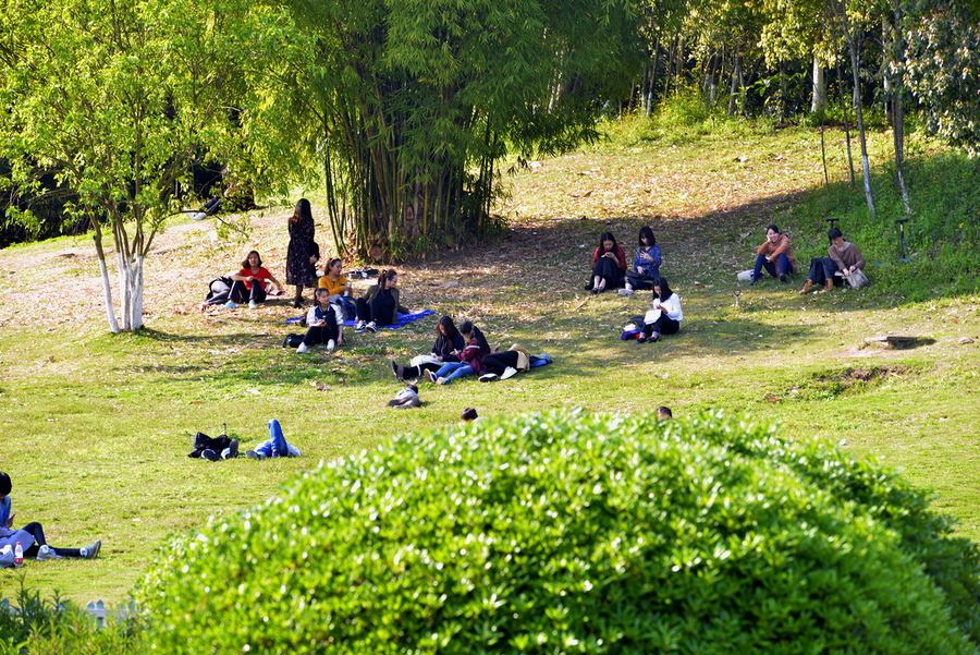 2019年四川城市職業(yè)學院單招簡章