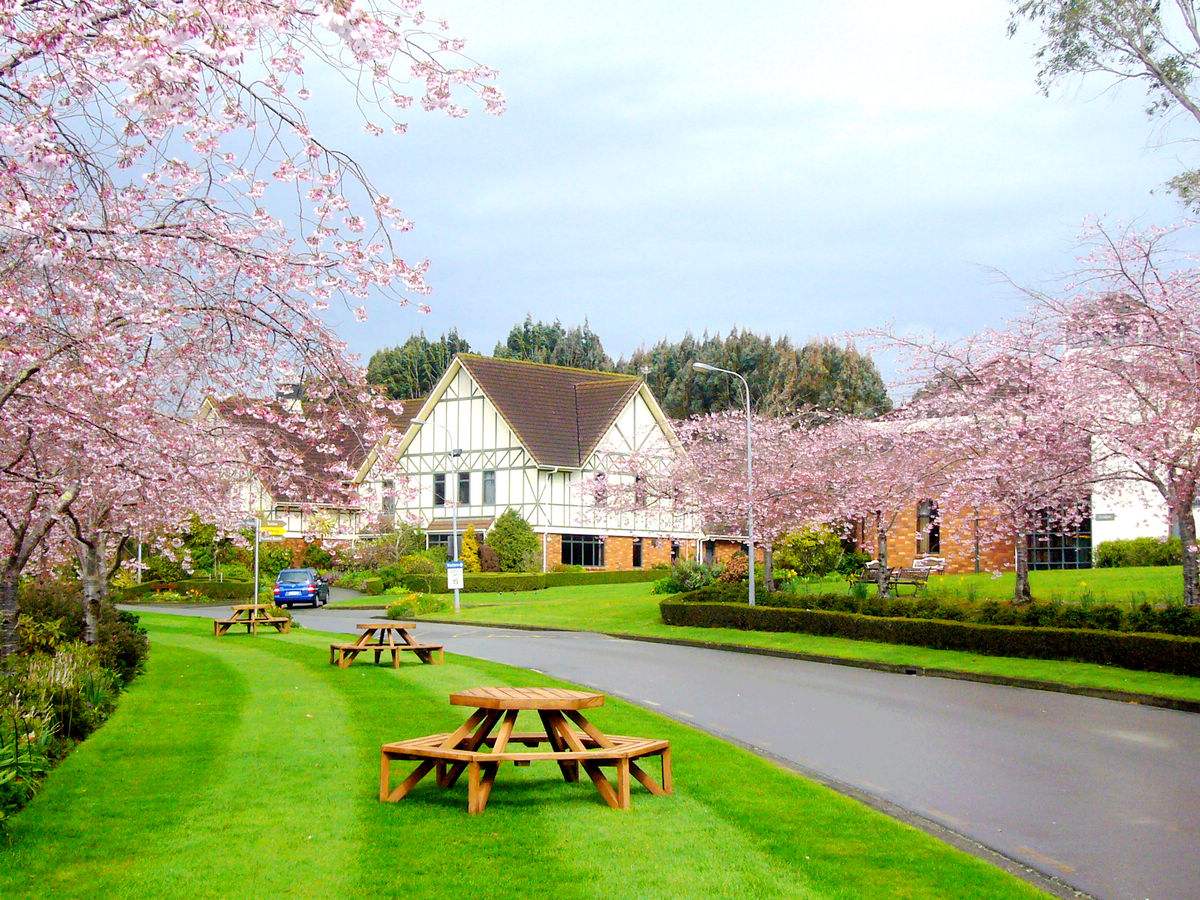 2019年西雙版納職業(yè)技術(shù)學(xué)院招生錄取分數(shù)線