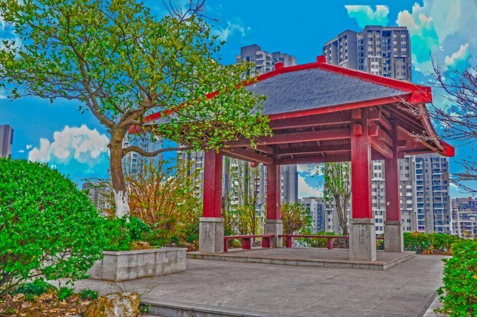 空乘專業(yè)招生簡章