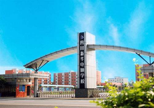 四川新華電腦學(xué)校2019年各專業(yè)招生簡(jiǎn)介