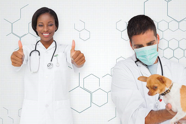 2019年成都華西衛(wèi)校招生簡章