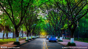 2019職業(yè)學(xué)校排行榜