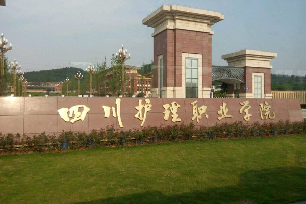 四川護(hù)理職業(yè)學(xué)院2019年錄取分?jǐn)?shù)