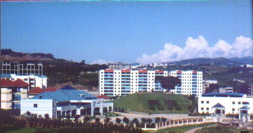 2019年綿陽(yáng)外貿(mào)電子學(xué)校招生錄取分?jǐn)?shù)線