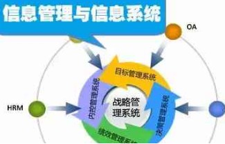 信息管理與信息系統(tǒng)專業(yè)