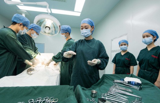 護(hù)理專業(yè)