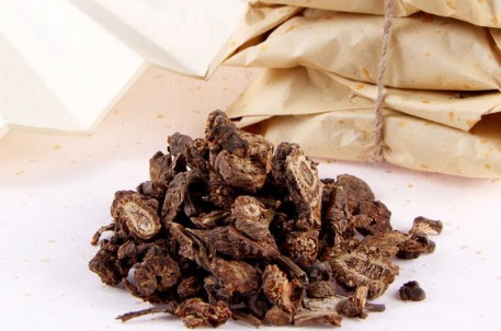 中藥學專業(yè)