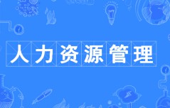 人力資源管理專業(yè)