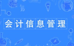 會計信息管理