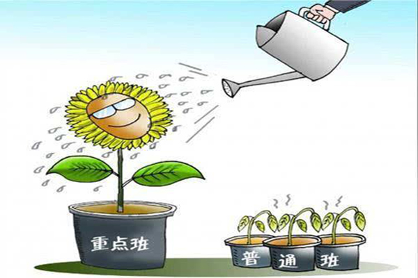 重點班與普通班的區(qū)別