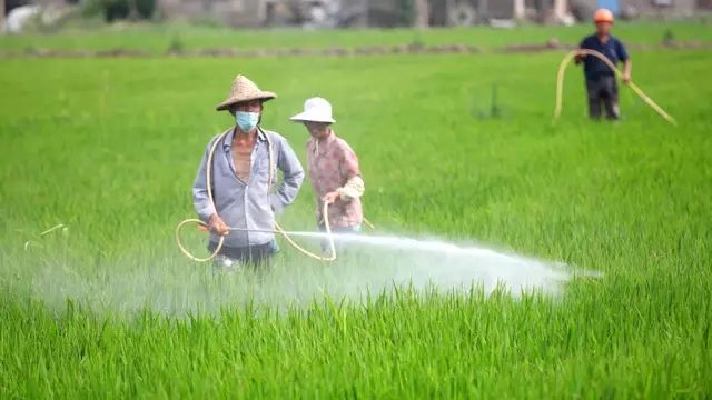 種子生產(chǎn)與經(jīng)營專業(yè)