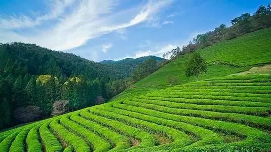 作物生產(chǎn)技術(shù)專(zhuān)業(yè) 作物生產(chǎn)技術(shù)專(zhuān)業(yè)