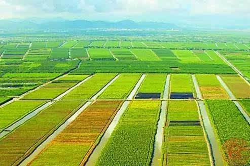 作物生產(chǎn)技術(shù)專(zhuān)業(yè) 作物生產(chǎn)技術(shù)專(zhuān)業(yè)