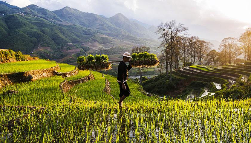 畜牧獸醫(yī)專業(yè)