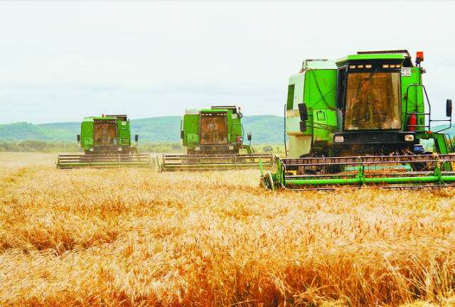 設(shè)施農(nóng)業(yè)技術(shù)專業(yè)