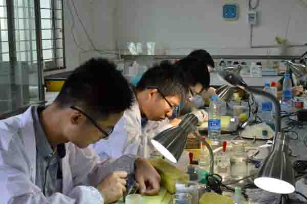 2019文物保護(hù)技術(shù)專業(yè)就業(yè)分析 2019文物保護(hù)技術(shù)專業(yè)就業(yè)分析