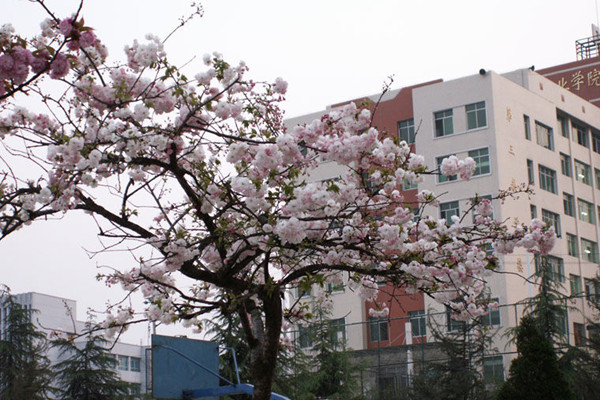 貴州工業(yè)職業(yè)技術學院 貴州工業(yè)職業(yè)技術學院