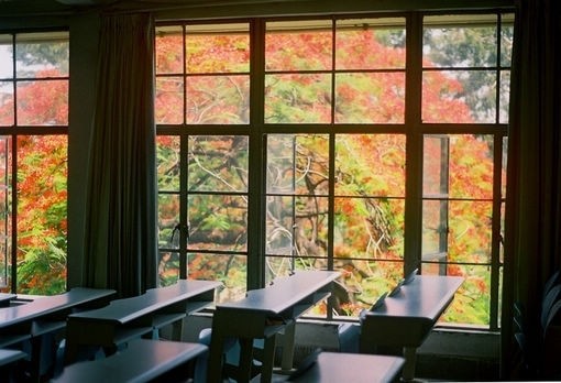 2019年自貢市龍錦職業(yè)技術(shù)學校招生錄取分數(shù)線