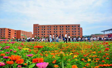 學(xué)校環(huán)境圖片