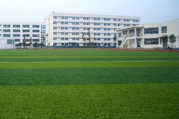 職業(yè)中學(xué)排名