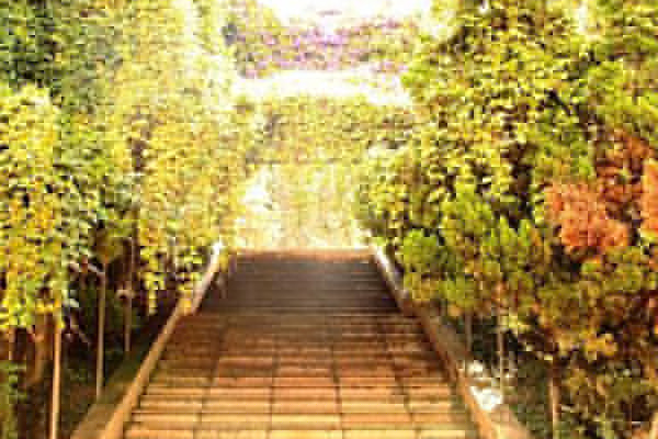 昆明職業(yè)高中排名 昆明職業(yè)高中排名