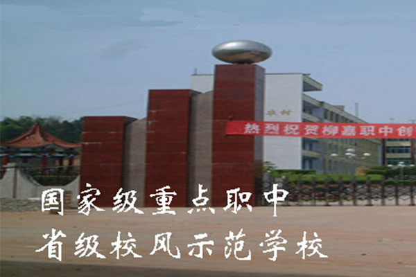 宜賓職業(yè)中學 宜賓職業(yè)中學