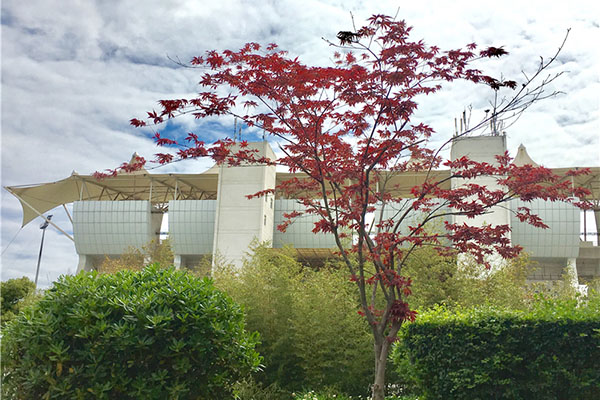 成都科華職業(yè)技術(shù)學(xué)校