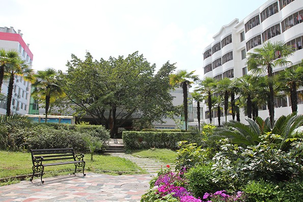 龍泉校區(qū)校園一角