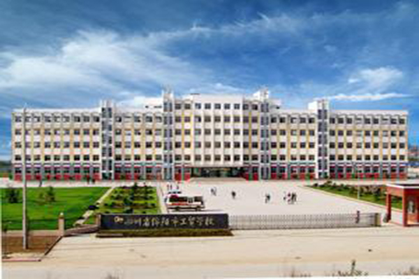 綿陽職高學(xué)校排名通高等職業(yè)教育機(jī)構(gòu)