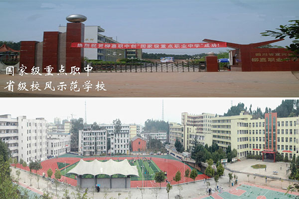 宜賓職中,職中排名