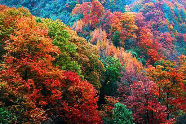 巴中職業(yè)技術(shù)學(xué)校招生