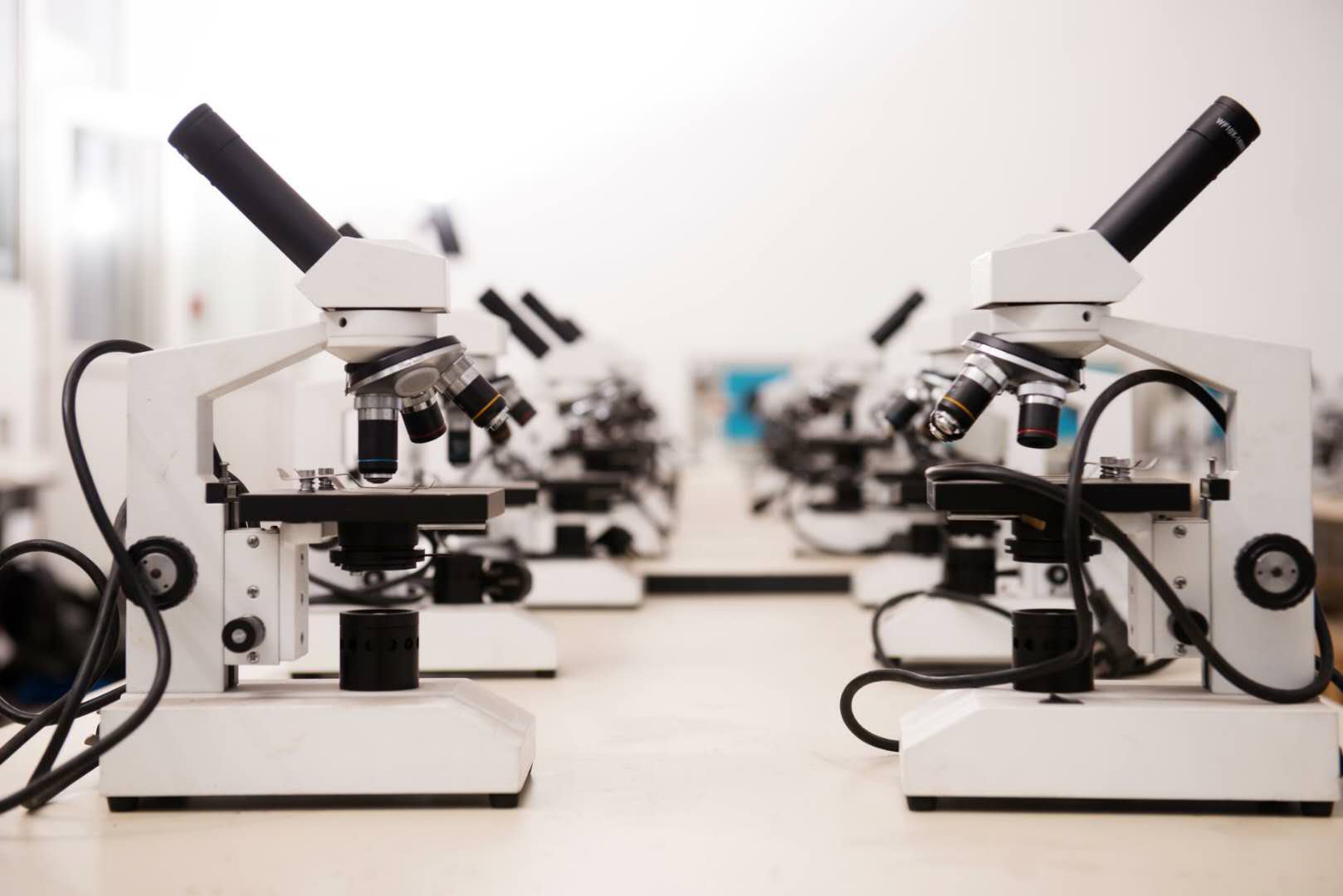 衛(wèi)校顯微鏡 衛(wèi)校顯微鏡