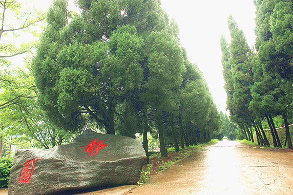 職業(yè)中學有哪些 職業(yè)中學有哪些