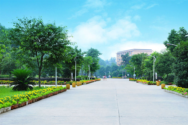 職業(yè)學(xué)院怎么樣