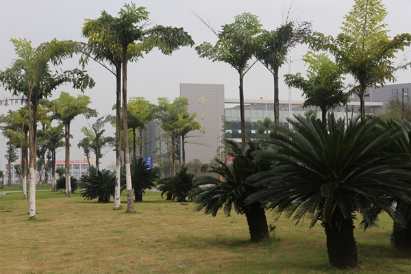 內(nèi)江醫(yī)科學(xué)校