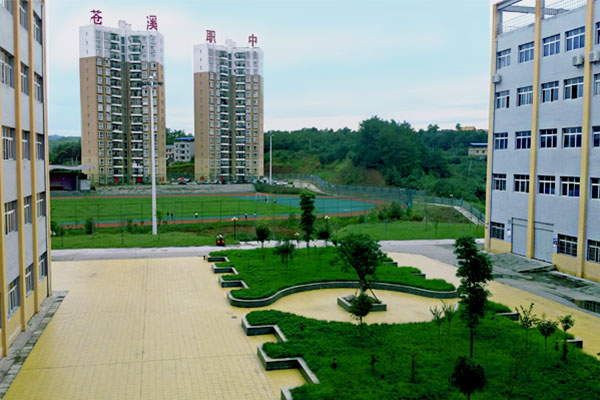 蒼溪職中 蒼溪職中