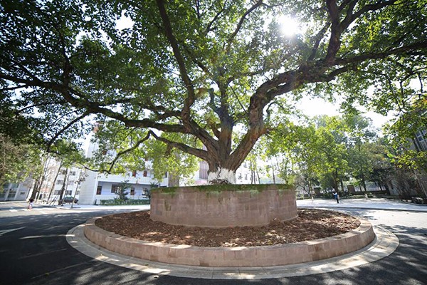 宜賓職業(yè)高中有哪些