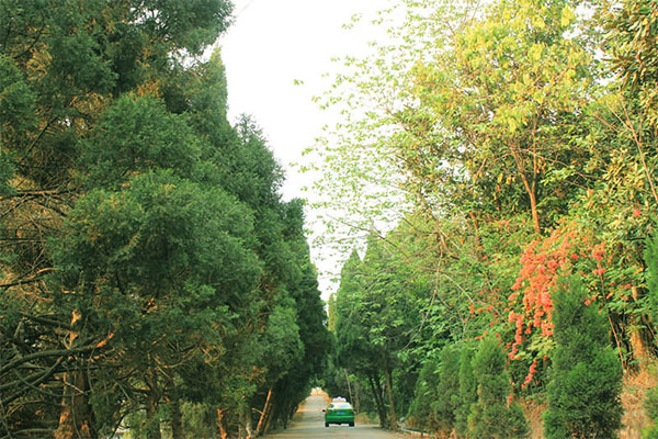 瀘州職業(yè)中學(xué)