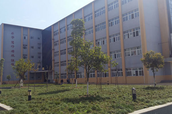 專業(yè) 專業(yè)